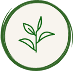 %100 Doğal Sadece Mayıs Çayı İçerir